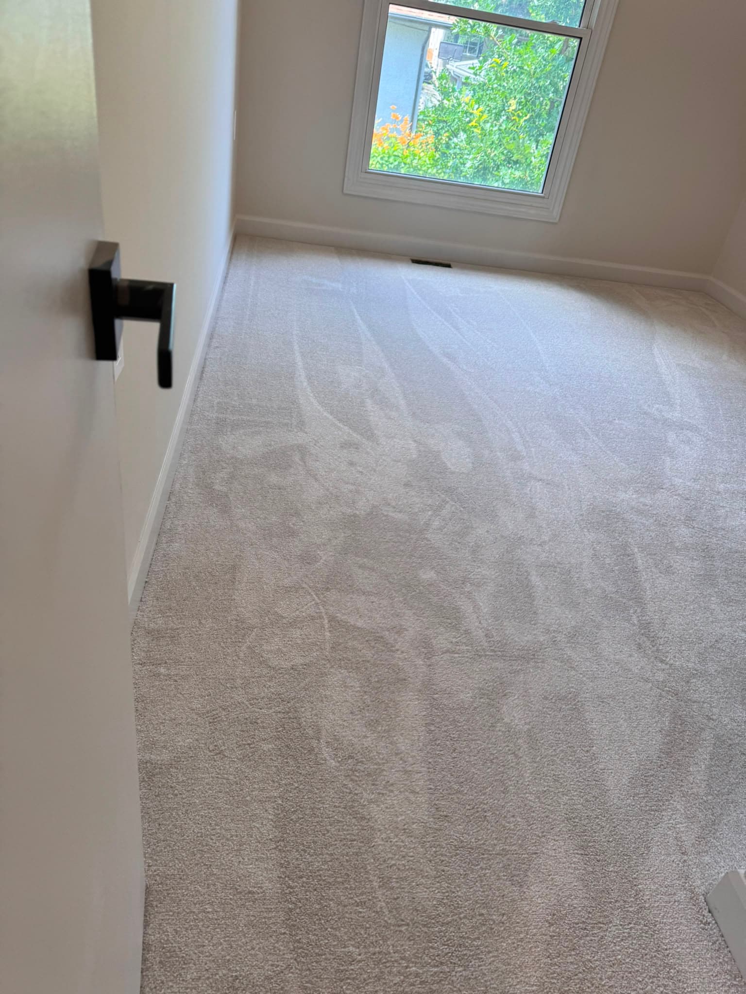 Soft carpet installed in a bright bedroom